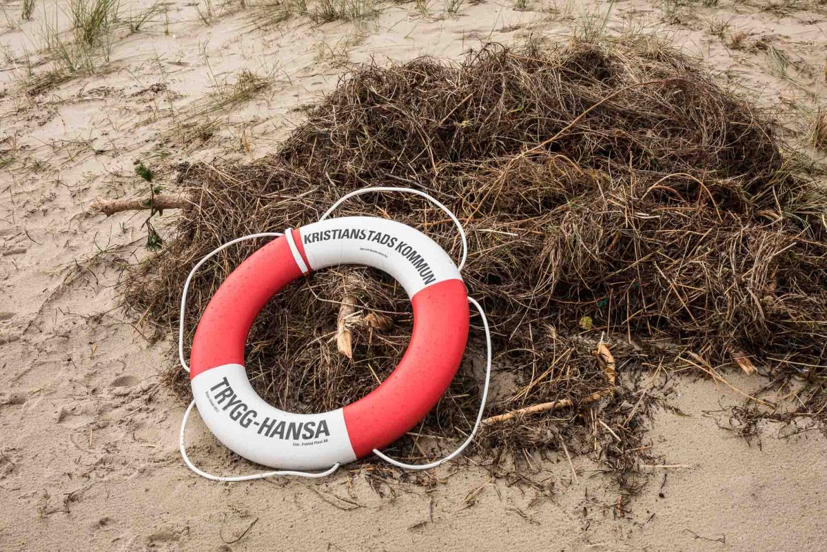 Bortblåst livboj på Hanöbuktens strand.