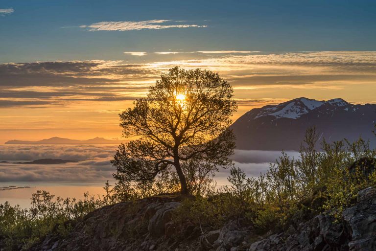 Egsnes on Lofoten, Norway.