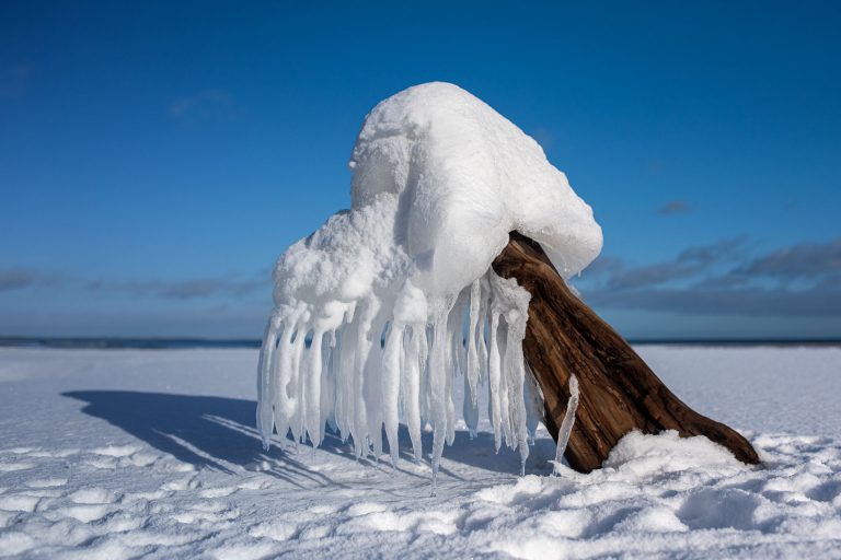 "Odjuret" på Hanöbuktens strand.