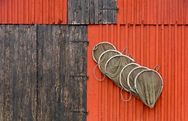 Eel hut / 1815