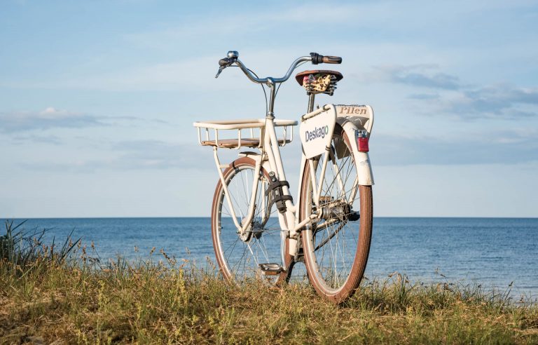 Bicycle / 2250
