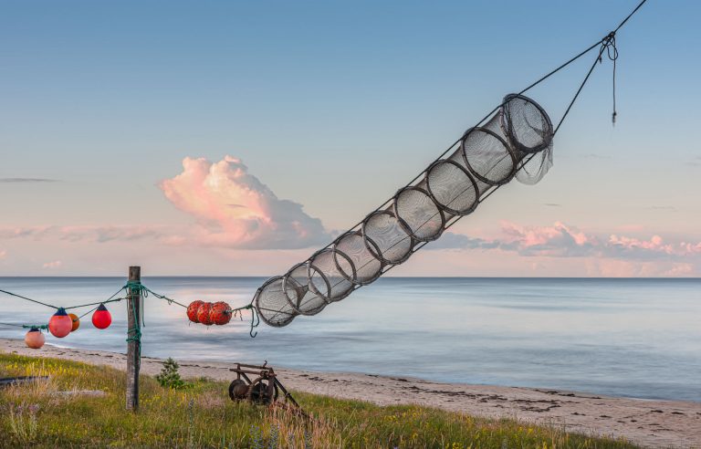 Eel trap / 2942-HDR