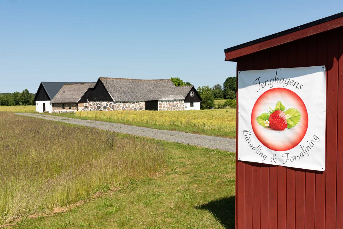 Skogsdala, Maglehem.