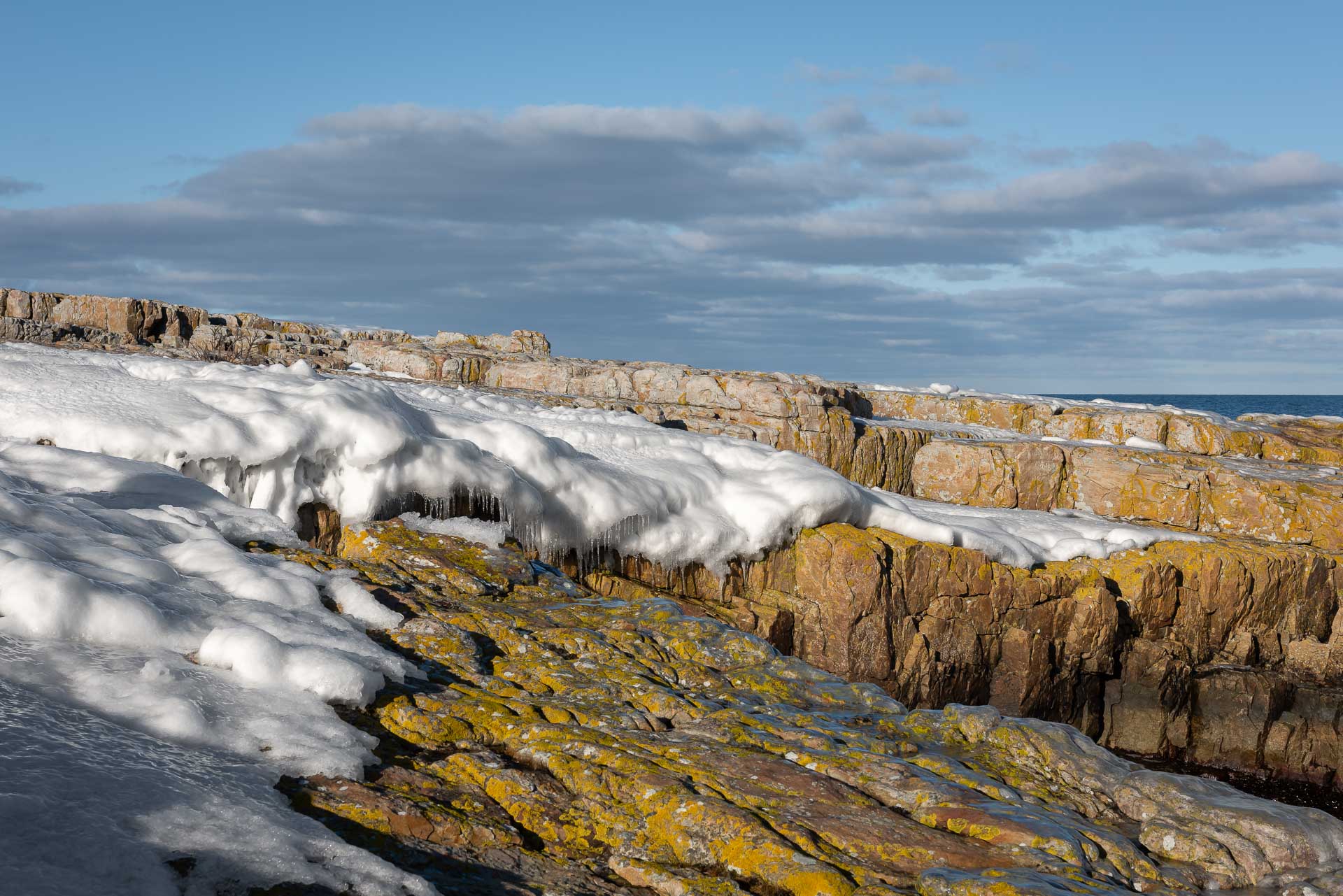Vårhallarna norr om Simrishamn.