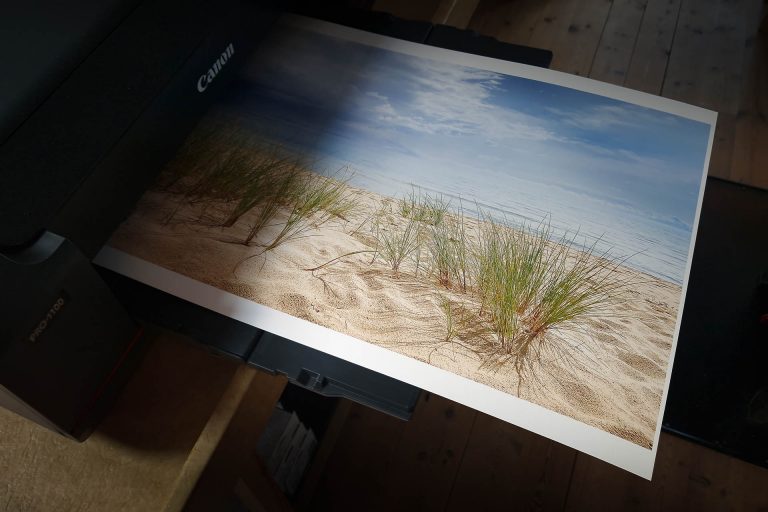 Mellan utställningar